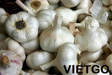 tỏi việt nam